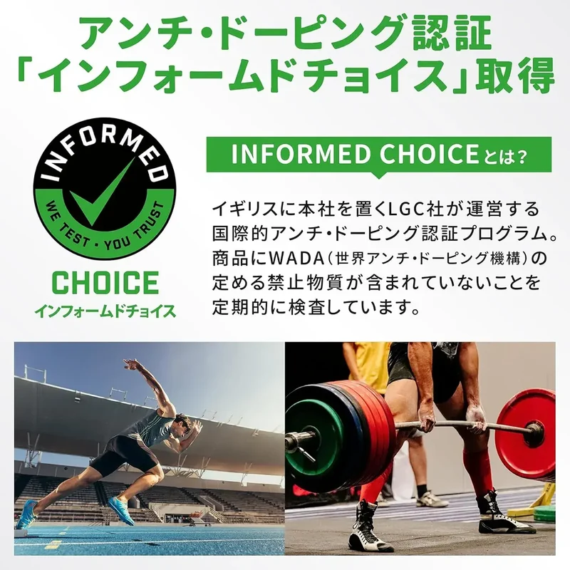 GronG Whey Protein Standard Chocolate with Vitamins Powder