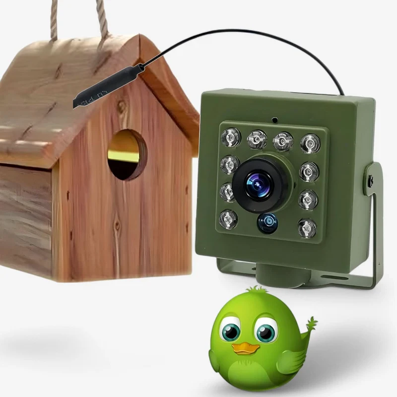 FlügelMoment Außenkamera – Für Intime Naturaufnahmen Direkt Am Nest
