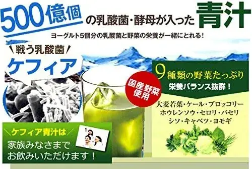 Everyday Kefir Green Juice 30 Packets - Daily Wellness