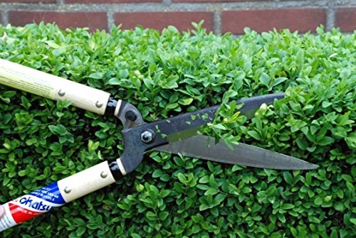 Okatsune 217 Hedge Shears 60cm Short Handle 7744Ai Efficient Trimming Tool