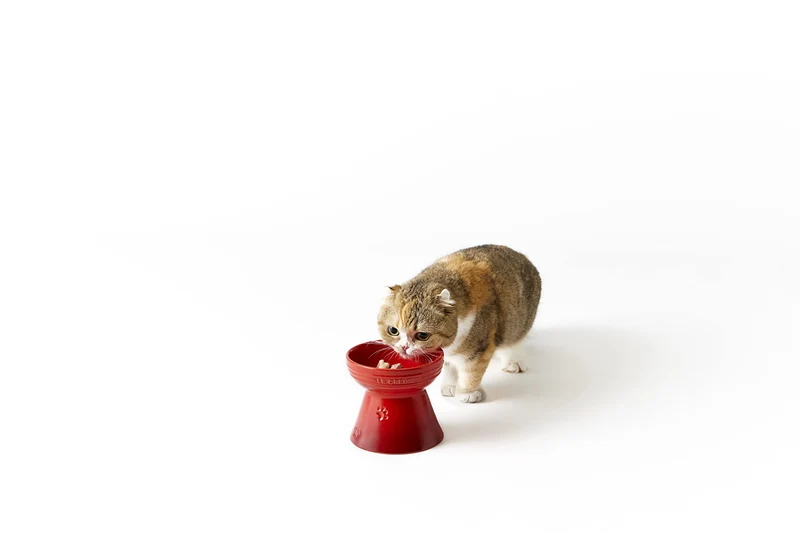 Le Creuset Pet Bowl Natural Pink Stain Resistant Microwave Safe for Pets