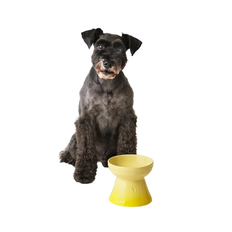 Le Creuset Cool Mint High Stand Pet Bowl for Dogs and Cats Stain-Resistant
