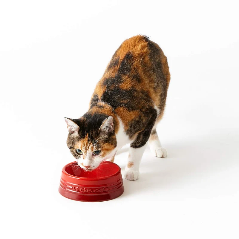 Le Creuset Cool Mint Pet Bowl S Stain Resistant Microwave Safe for Pets