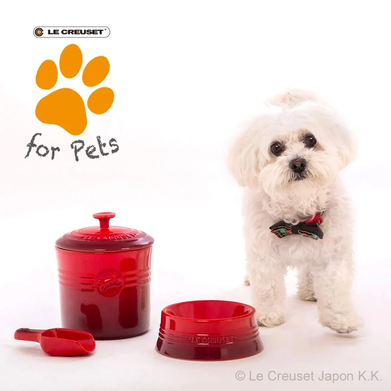 Le Creuset Cool Mint Pet Bowl S Stain Resistant Microwave Safe for Pets