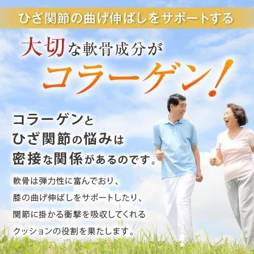 Fine Japan Glucosamine Functional Food with Type II Collagen 250 Tablets