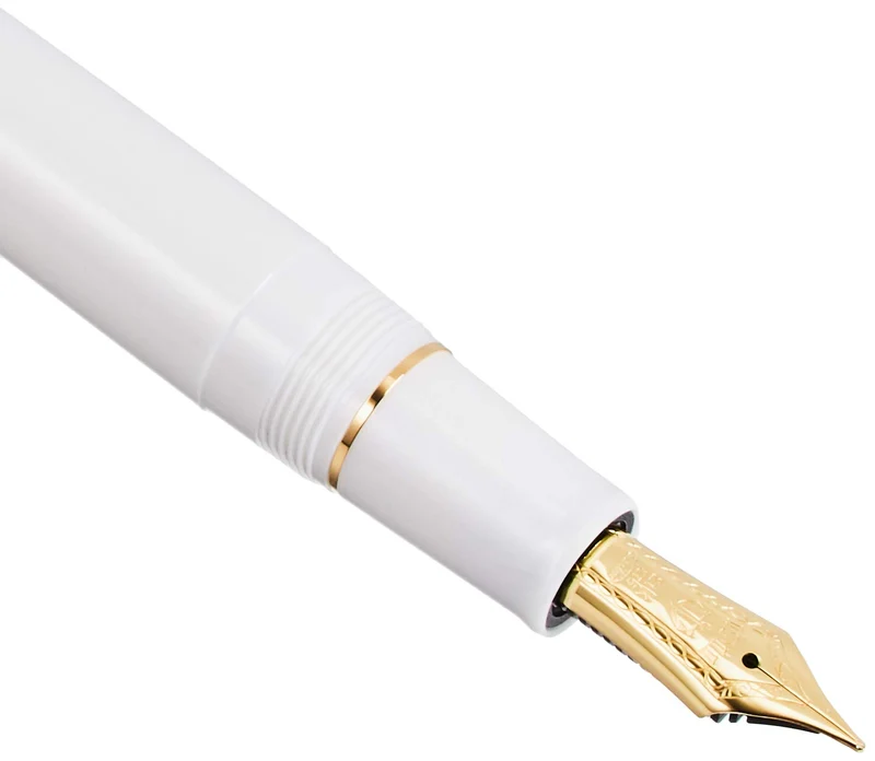 SAILOR Profit 21 Fountain Pen We Ms 11-2021-910