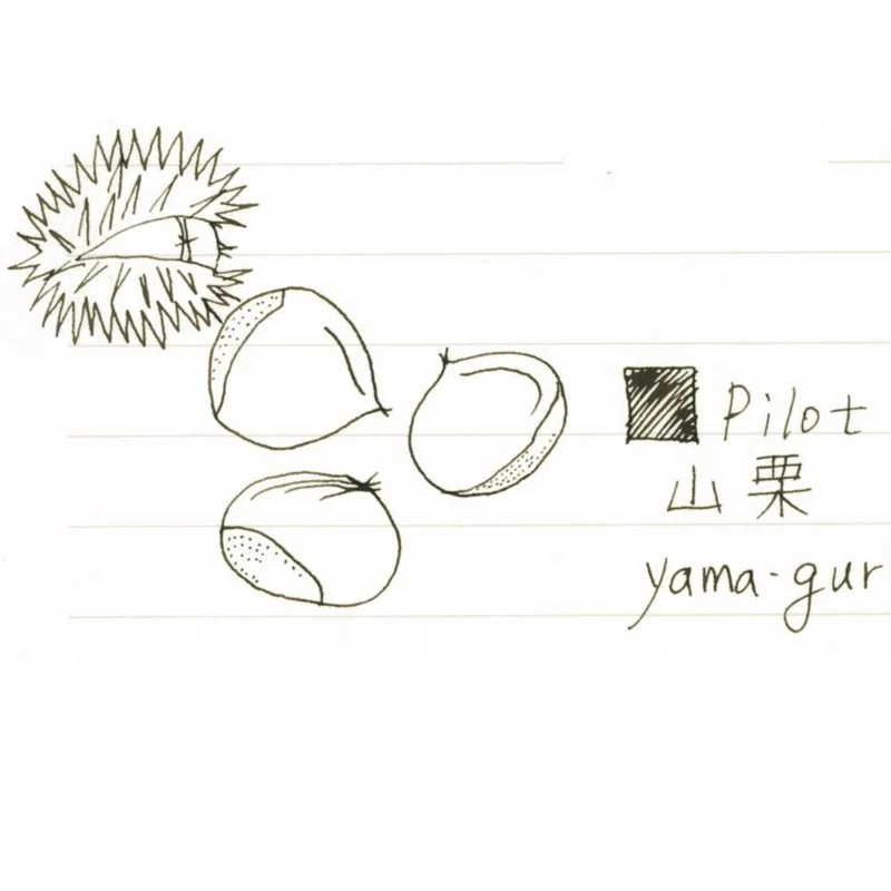 Pilot - Fountain Pen Ink Iroshizuku Yama-Guri Ink-50-Yg
