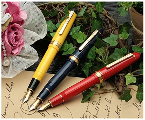 Platinum Fine Point President Fountain Pen Black - Model PTB-20000P1-2