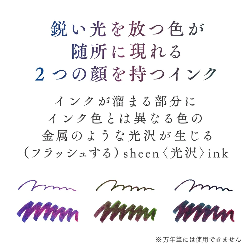 Sailor Fountain Pen 10-0251-701 with Dip Pen Ink Set Hocoro Blue Frame Scene Brush Letters