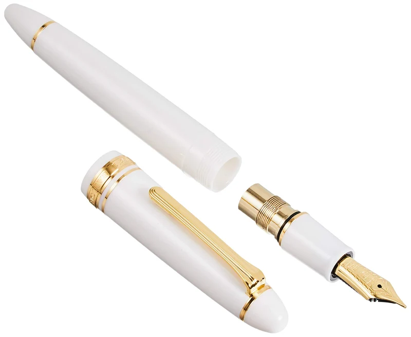 SAILOR Profit 21 Fountain Pen We Z 11-2021-710