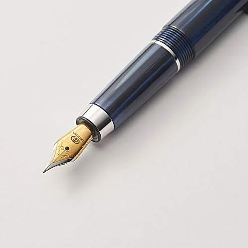 NAKABAYASHI Taccia Covenant Fountain Pen Persimmon Winds Nib: F