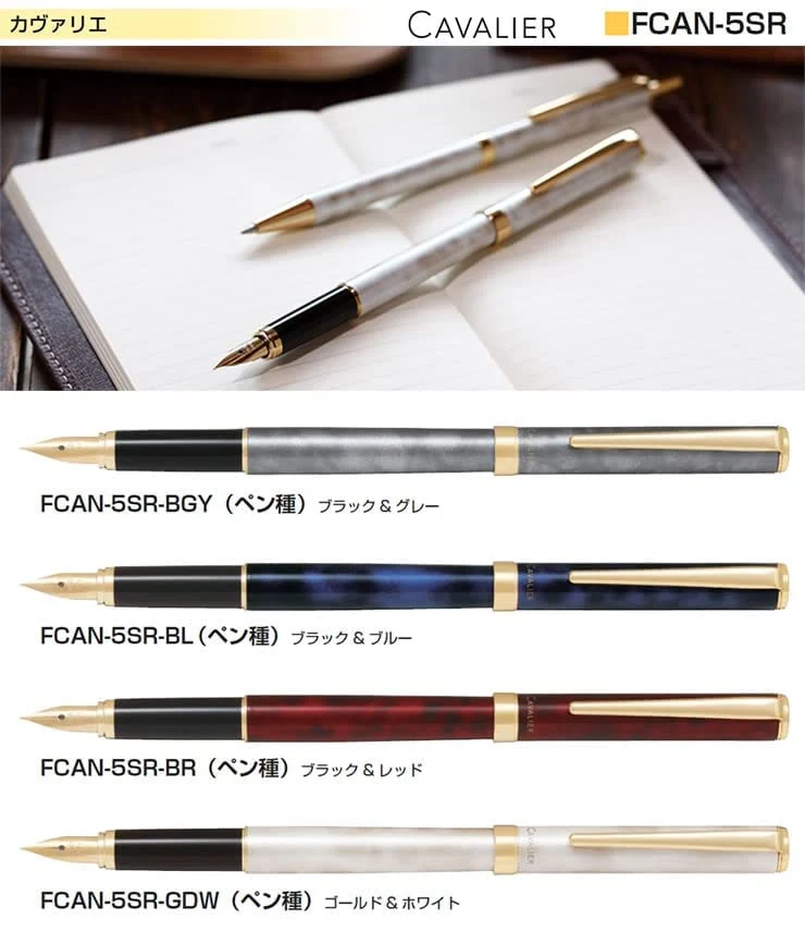 Pilot Cavalier Fine Fountain Pen Black & Blue Fcan-5Sr-Blf -