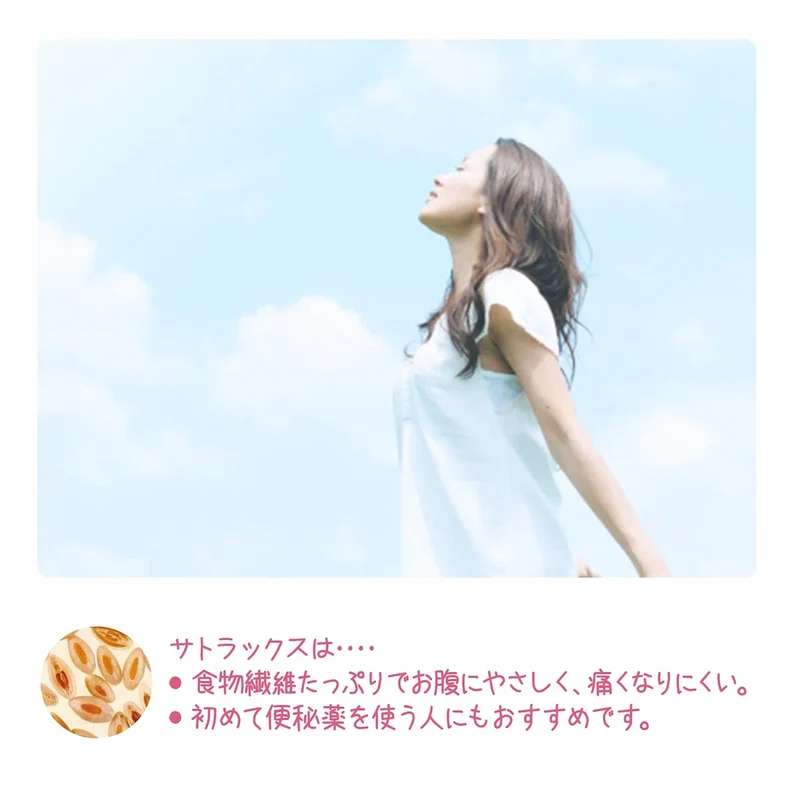 Sato Pharmaceutical [Designated 2 Drugs] Sutrax 250G From Japan
