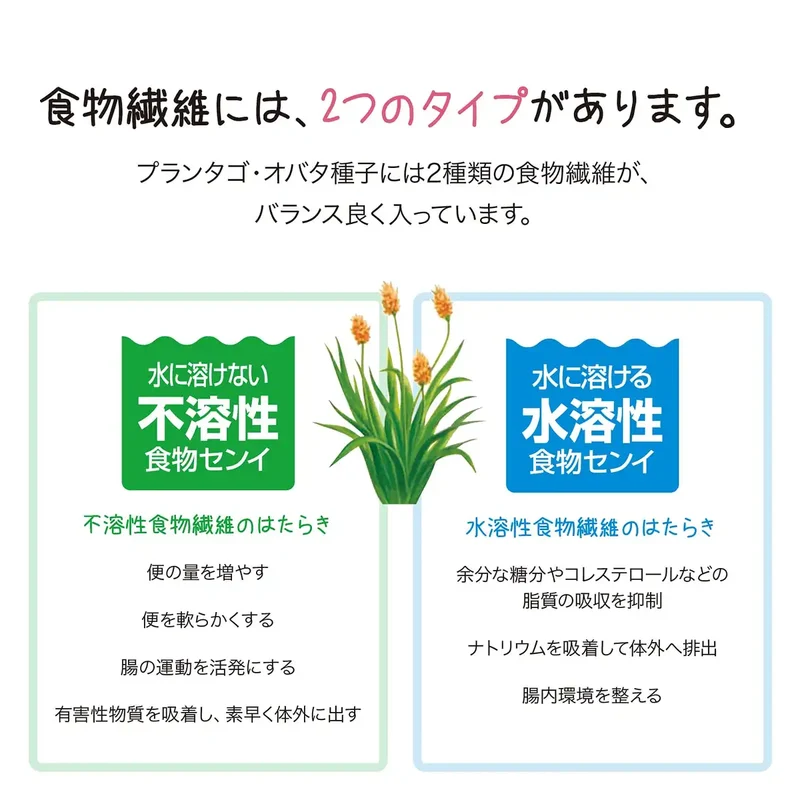 Sato Pharmaceutical [Designated 2 Drugs] Sutrax 250G From Japan