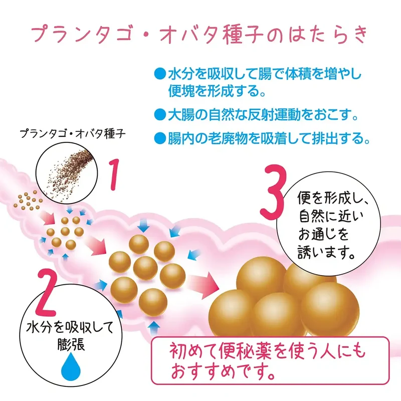 Sato Pharmaceutical [Designated 2 Drugs] Sutrax 250G From Japan
