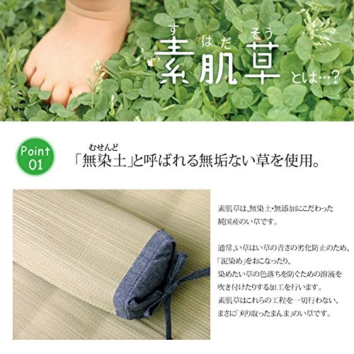Ikehiko Corporation Bare Skin Grass Square Pillow 30X15Cm Japanese Rush Grass #3632319